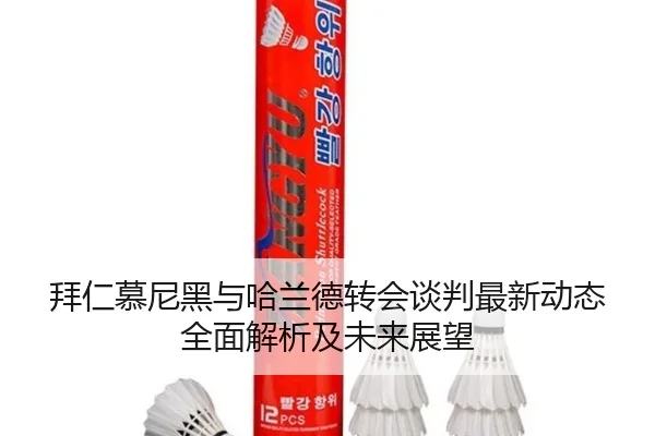 拜仁慕尼黑与哈兰德转会谈判最新动态全面解析及未来展望